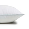 TRAVESSEIRO ULTRACOMFORT ALTENBURG BRANCO 50X70CM